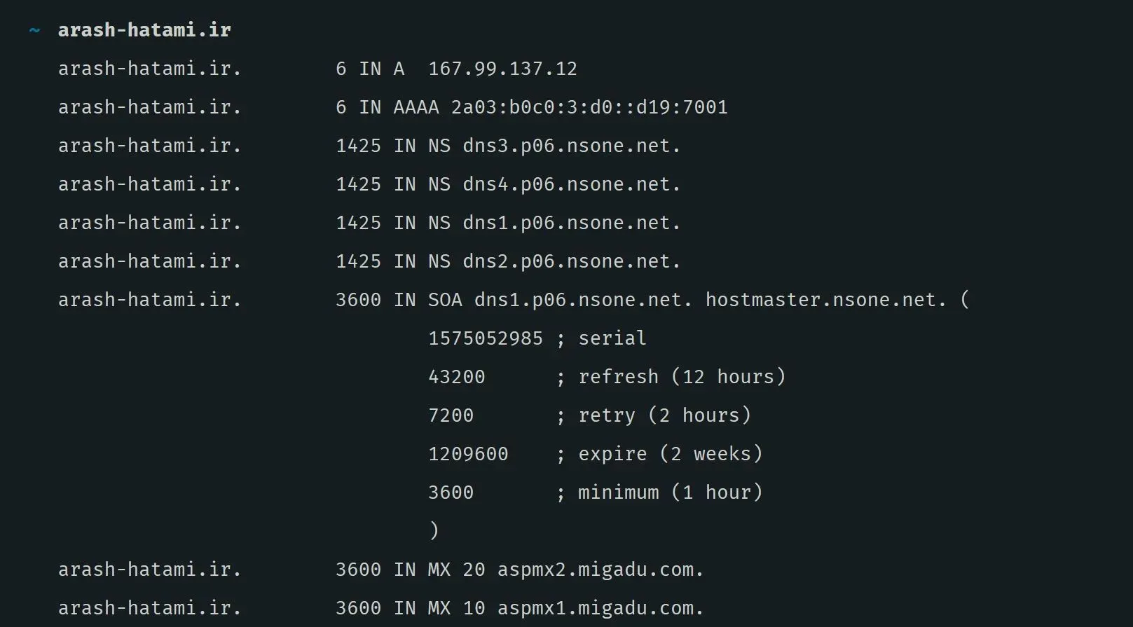 سامانه DNS Lookup